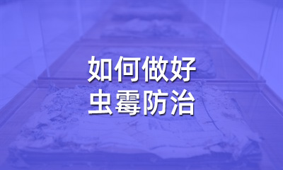 檔案修復(fù)后，如何做好蟲(chóng)霉防治
